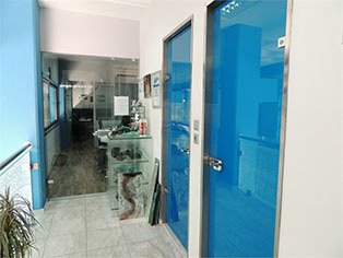 Τα Γραφεία μας